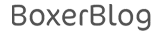 Lorem ipsum dolor sit amet Logo 6